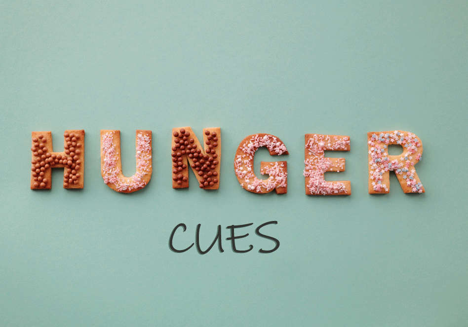 The hunger fullness scale is a tool developed alongside Intuitive Eating that can be used to help people listen and respond to their hunger cues. And it's pretty handy.